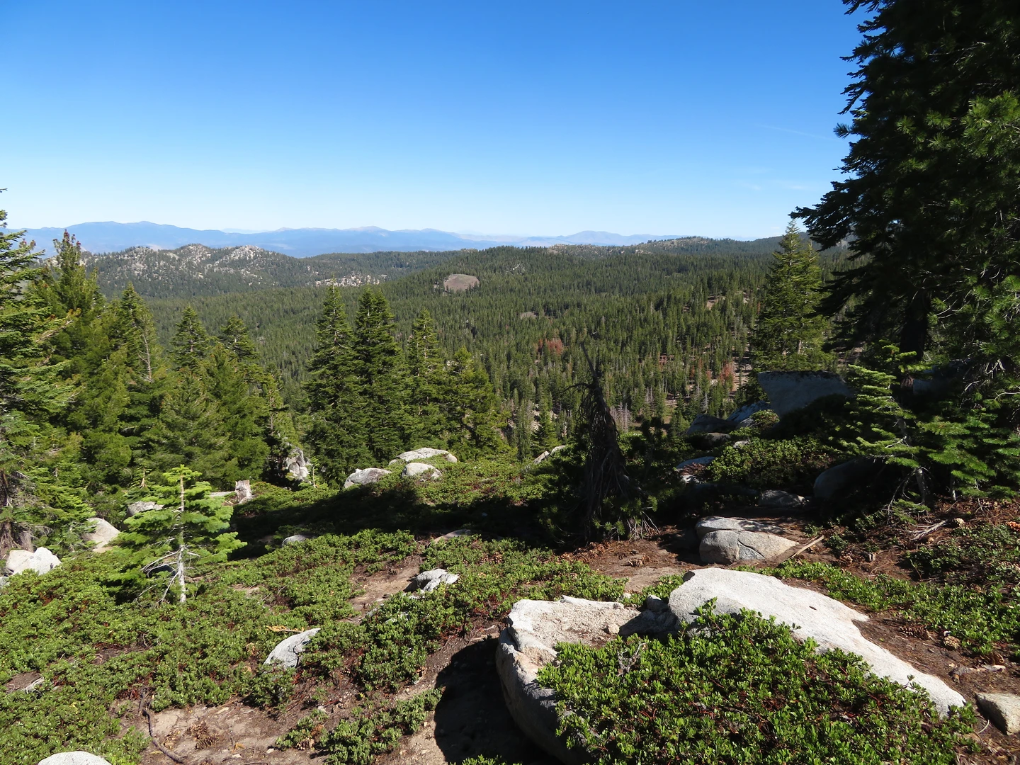 An image depicting the trail Horse Meadows and Tahoe Rim Trail and its surrounding area.