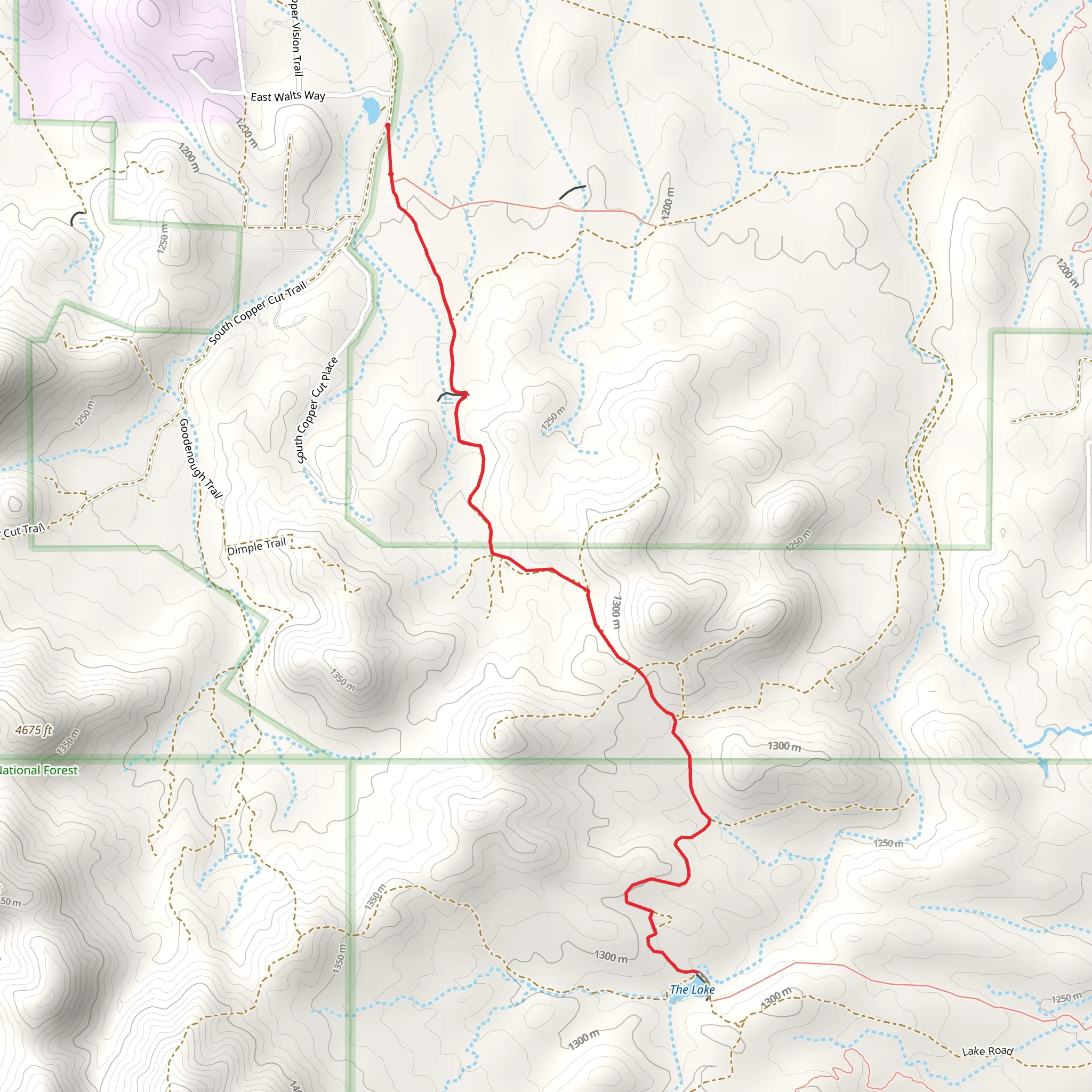 The Lake from South Copper Cut Trail mobile static map