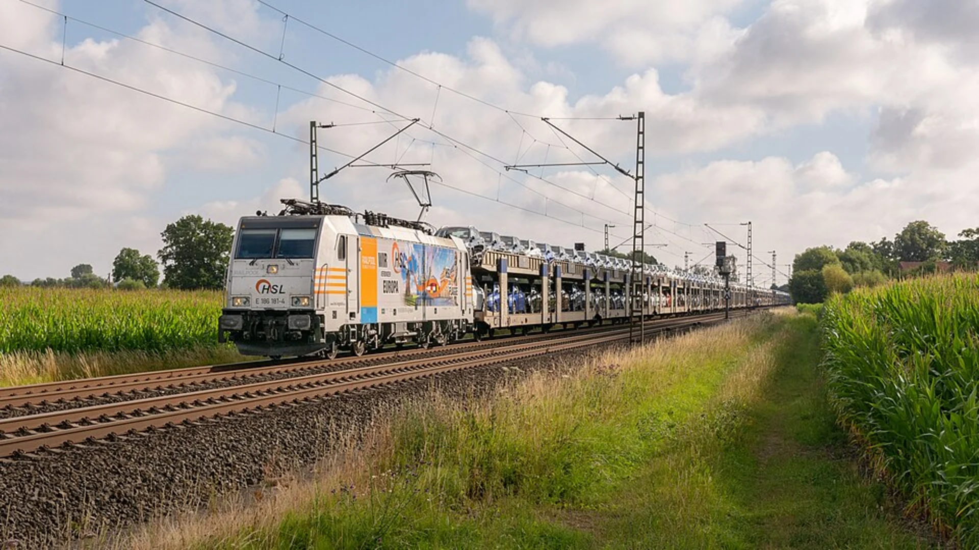 An image depicting the trail Maehmoos Loop and its surrounding area.