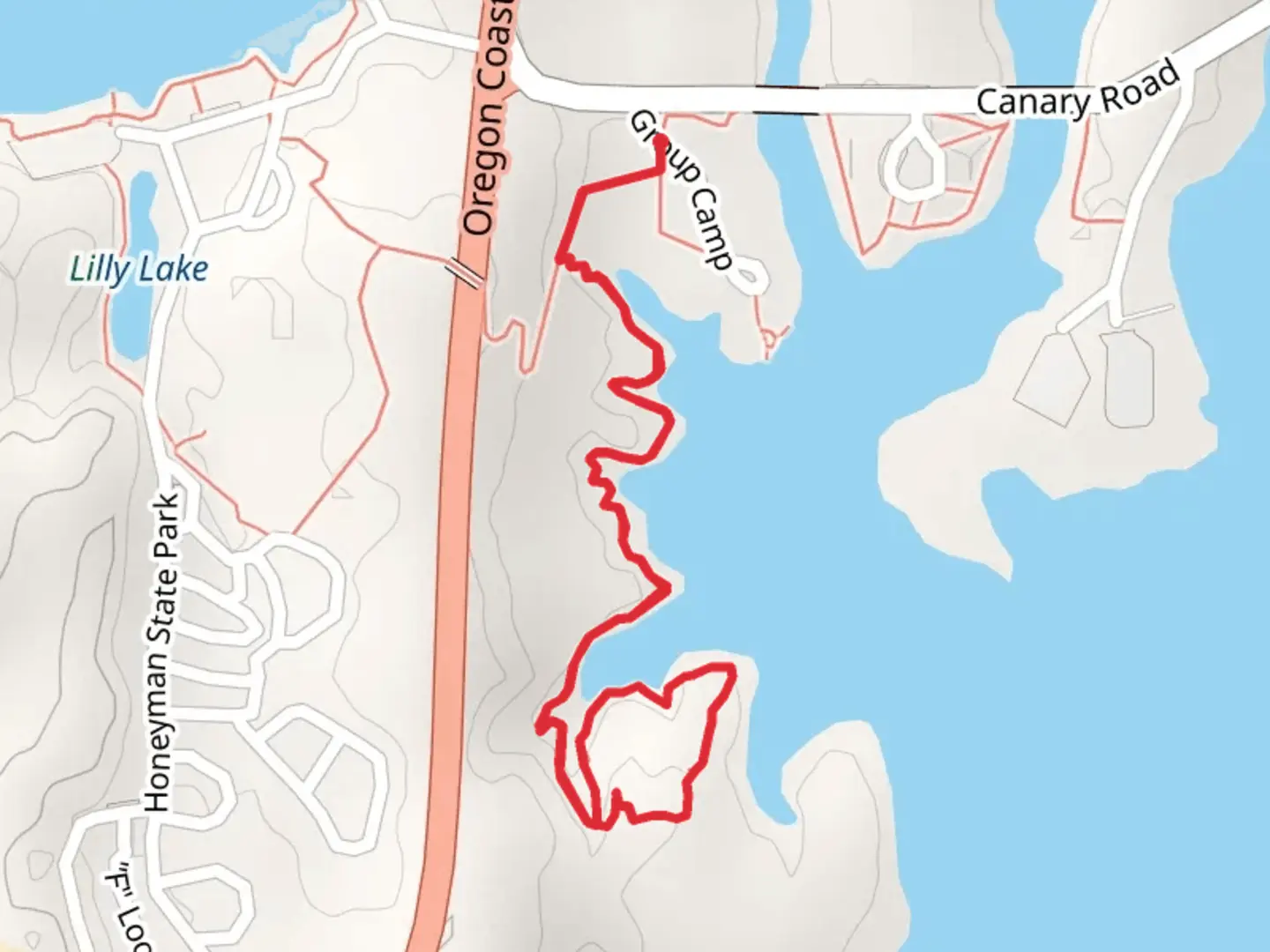 An image depicting the trail Woahink Lakeside Trail and its surrounding area.