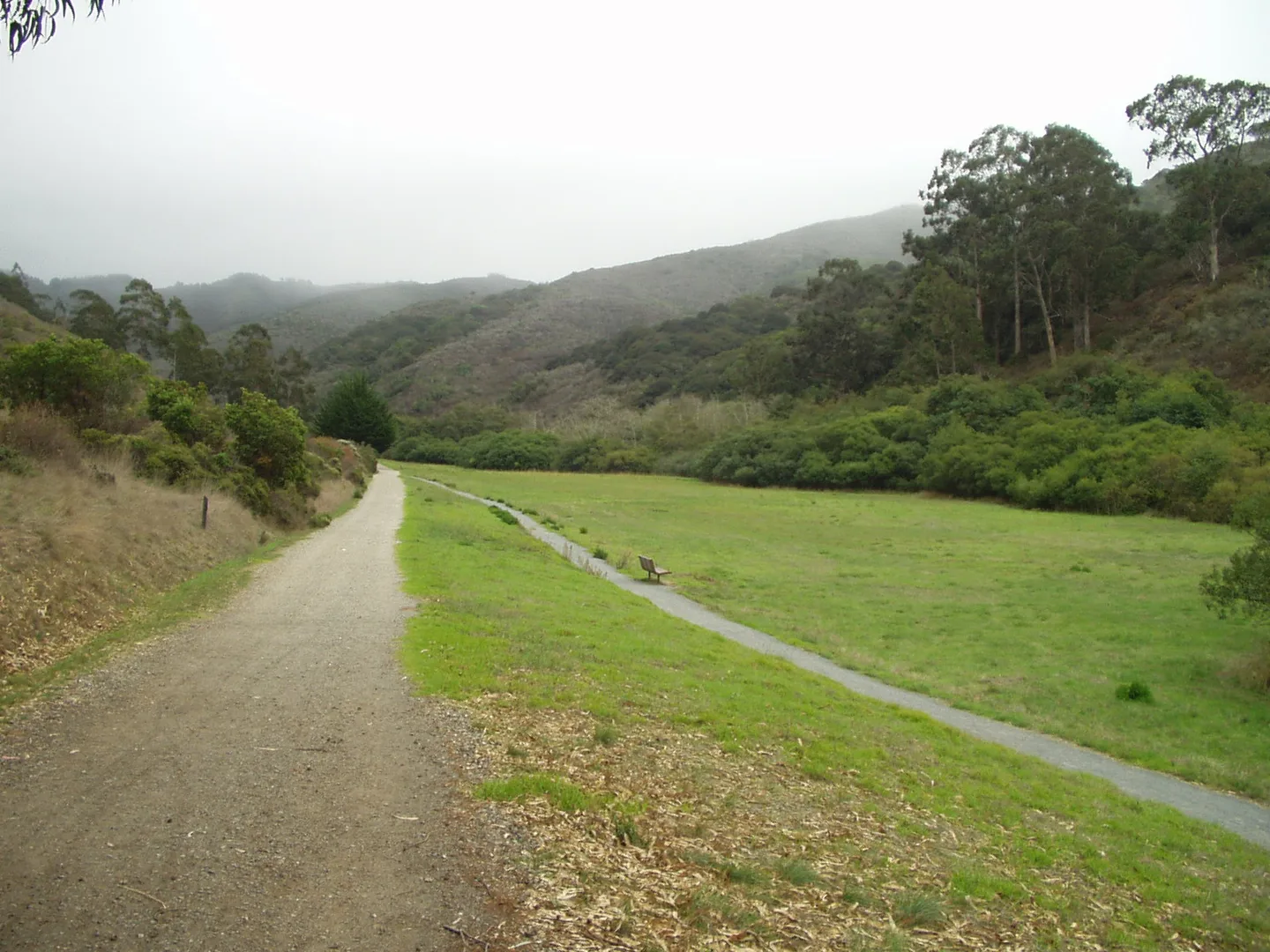 An image depicting the trail Montara Mountain Trail, Hazelnut Trail and Valley View Trail Loop and its surrounding area.