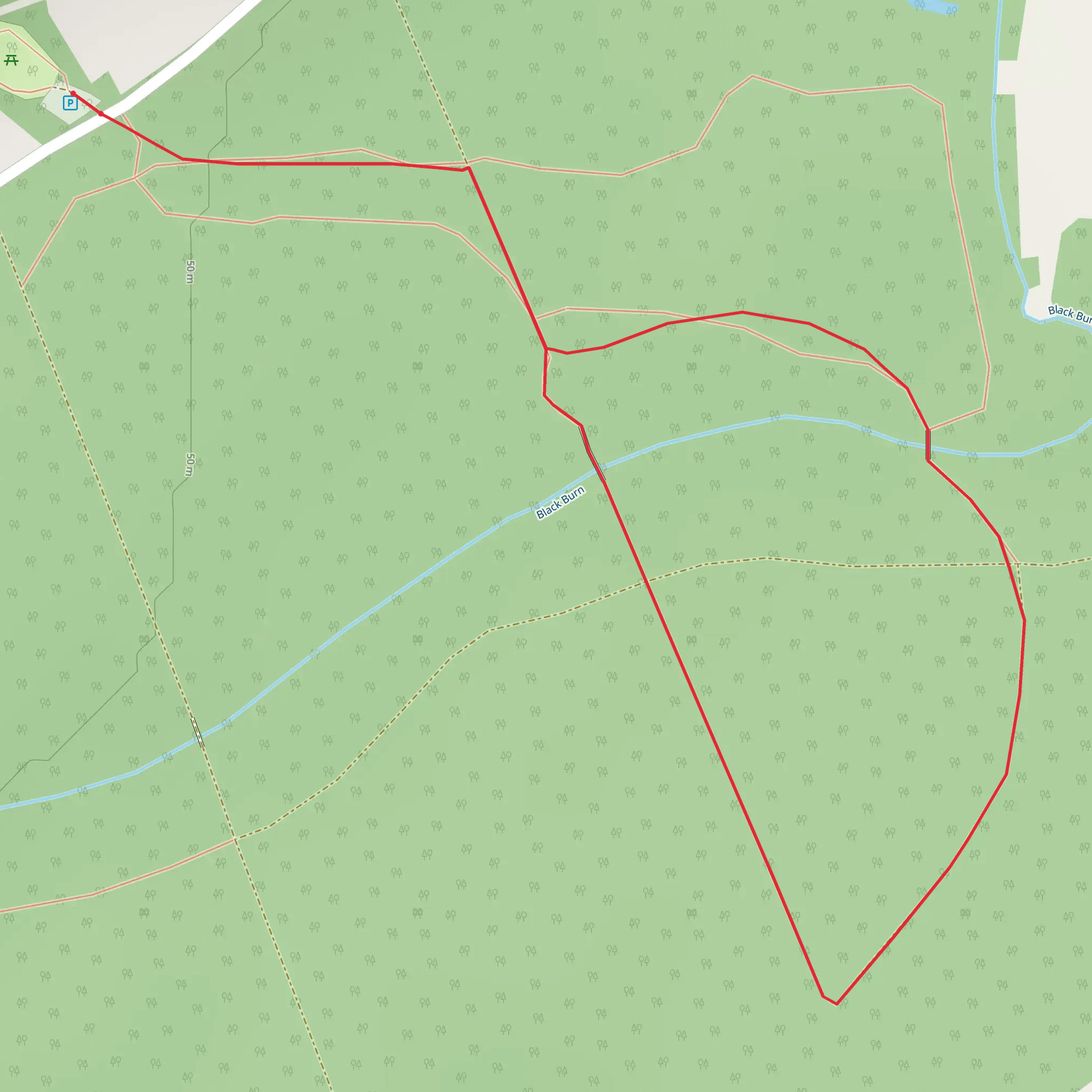 Black Burn Trail - Torrieston mobile static map
