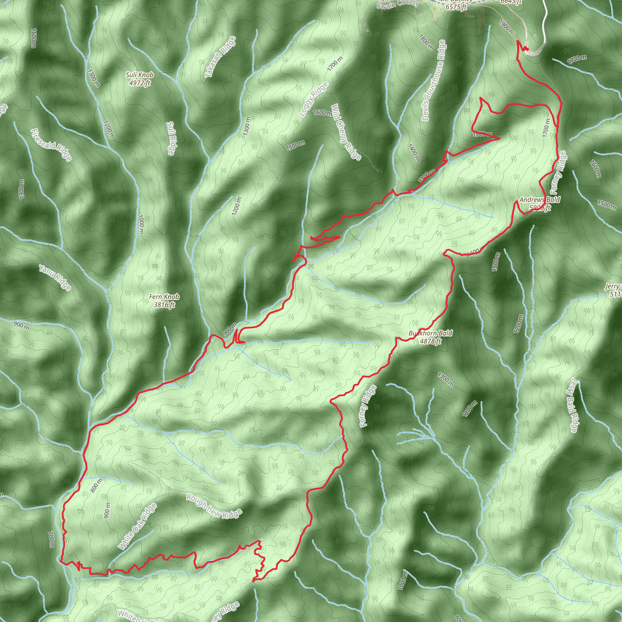 Andrew Bald Loop via Bee Gum Branch and Forney Creek mobile static map