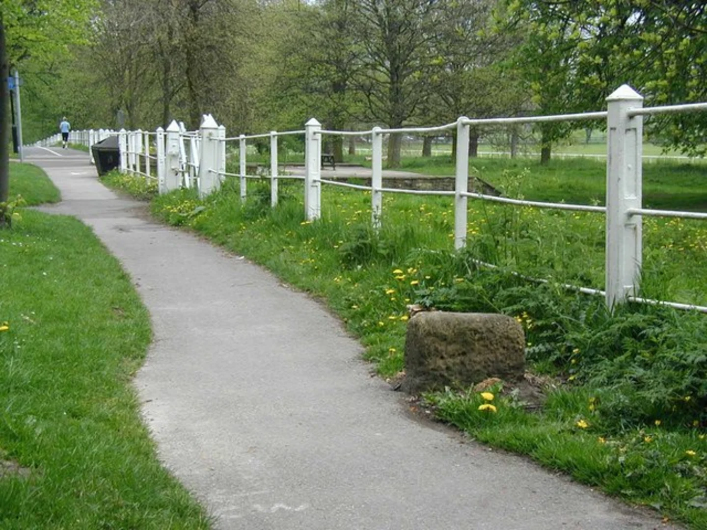An image depicting the trail The Knavesmire Loop and its surrounding area.