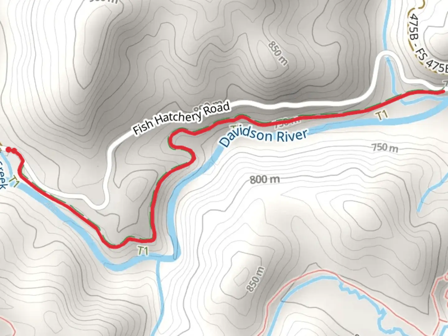 An image depicting the trail Davidson River Trail and its surrounding area.