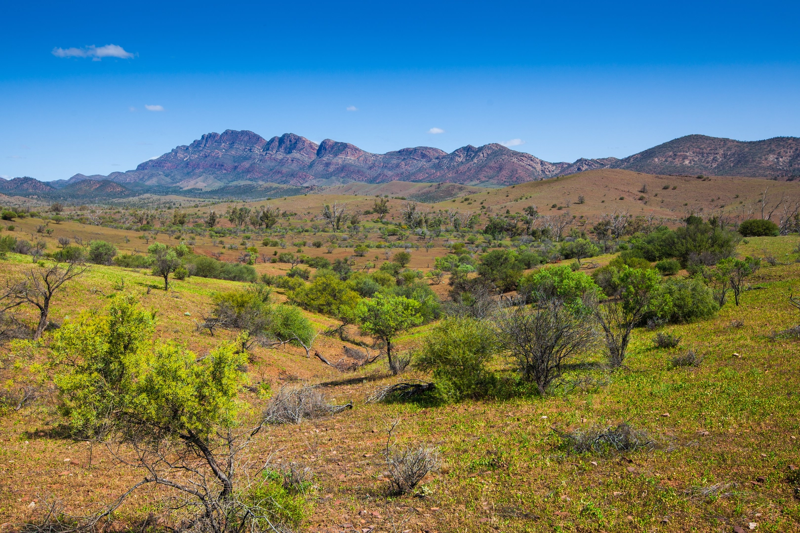 An image depicting the trail Malloga Falls Hike and its surrounding area.