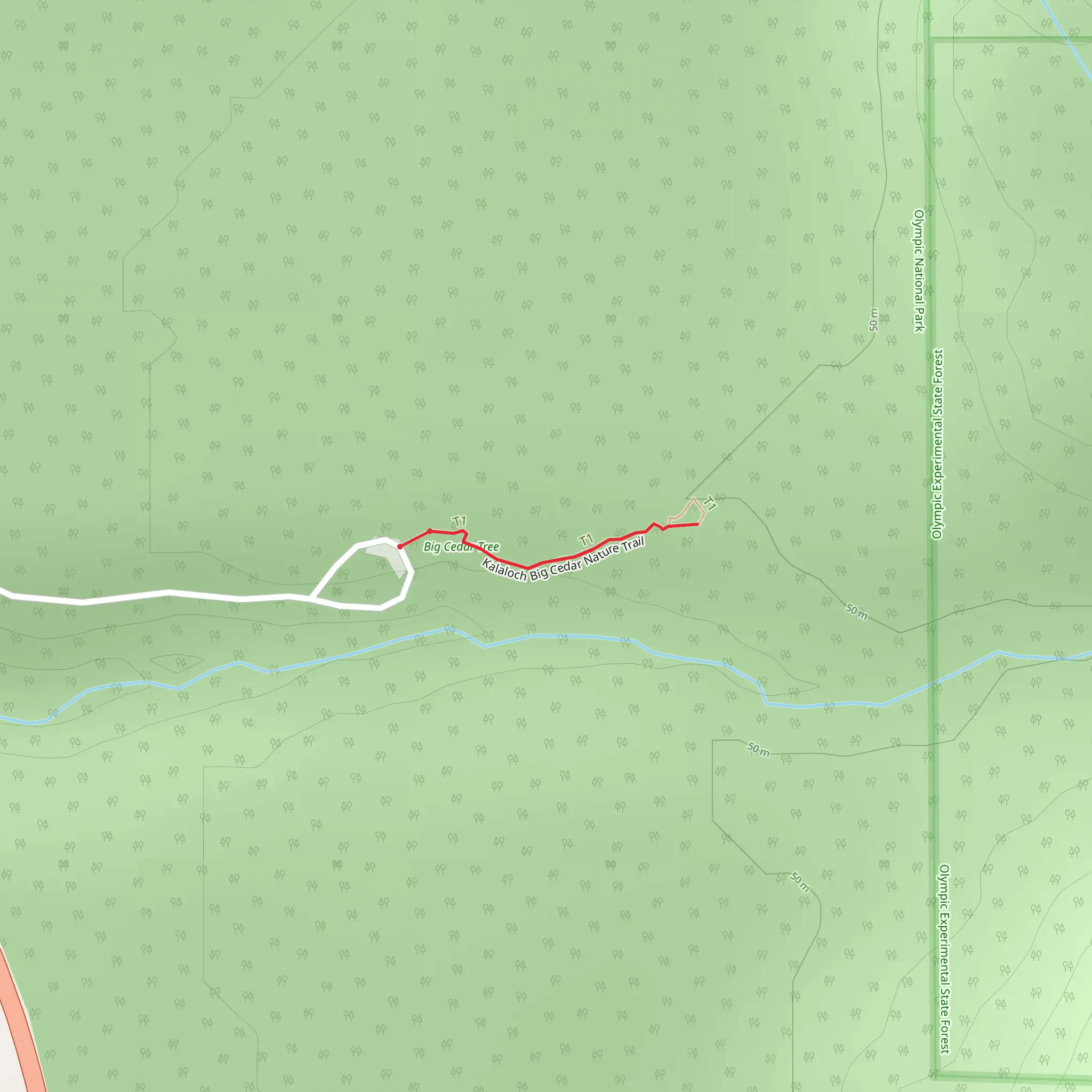Kalaloch Big Cedar Nature Trail mobile static map
