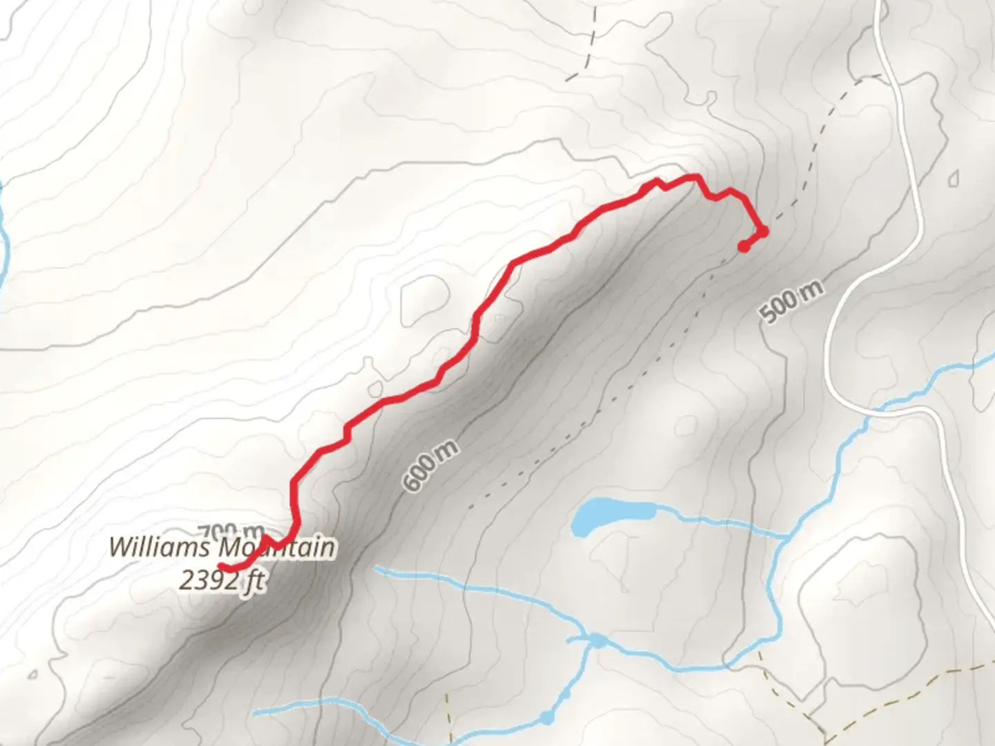 An image depicting the trail Williams Mountain and its surrounding area.