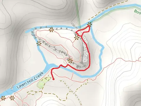 Wild Dog Dreaming Track