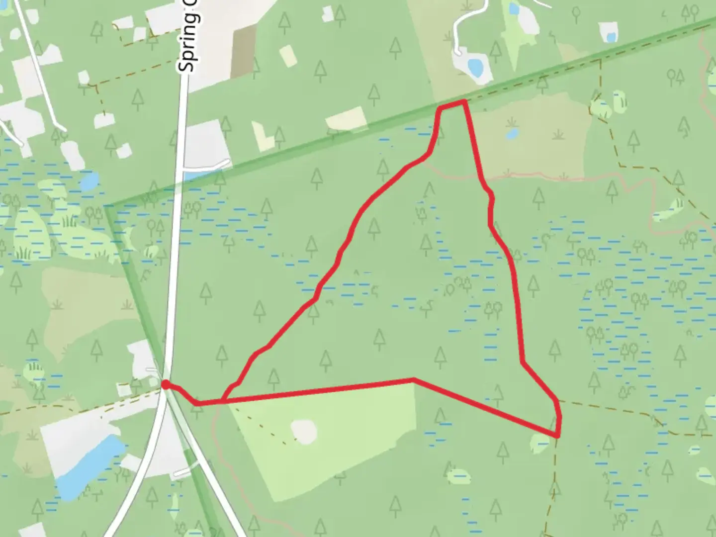 An image depicting the trail Florida Trail Loop from Smith Cemetery and its surrounding area.
