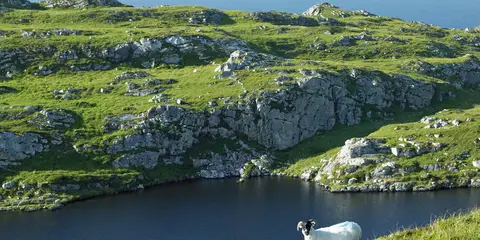 An image depicting the trail Sheep's Head Way and its surrounding area.