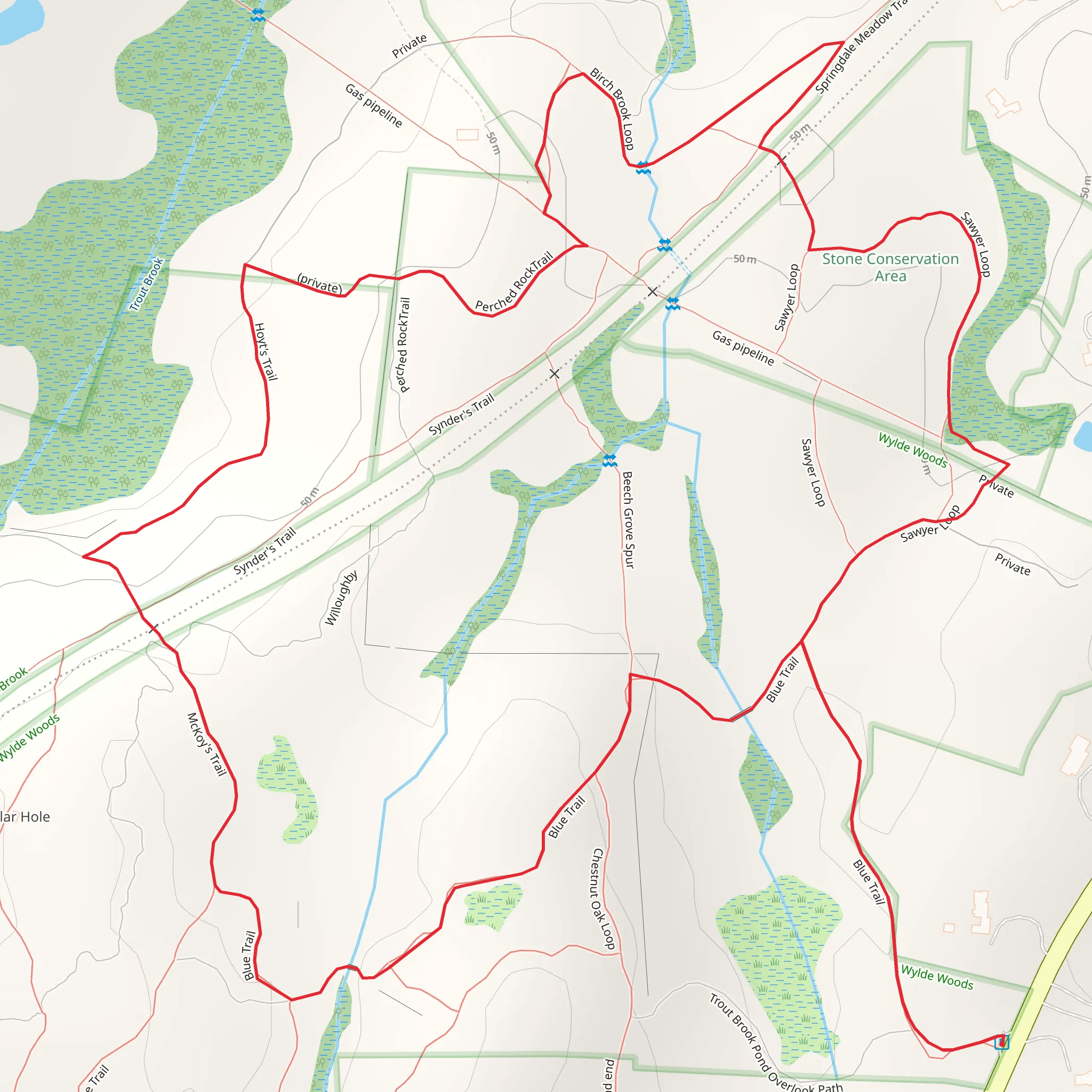 Trout Brook via Blue Trail mobile static map