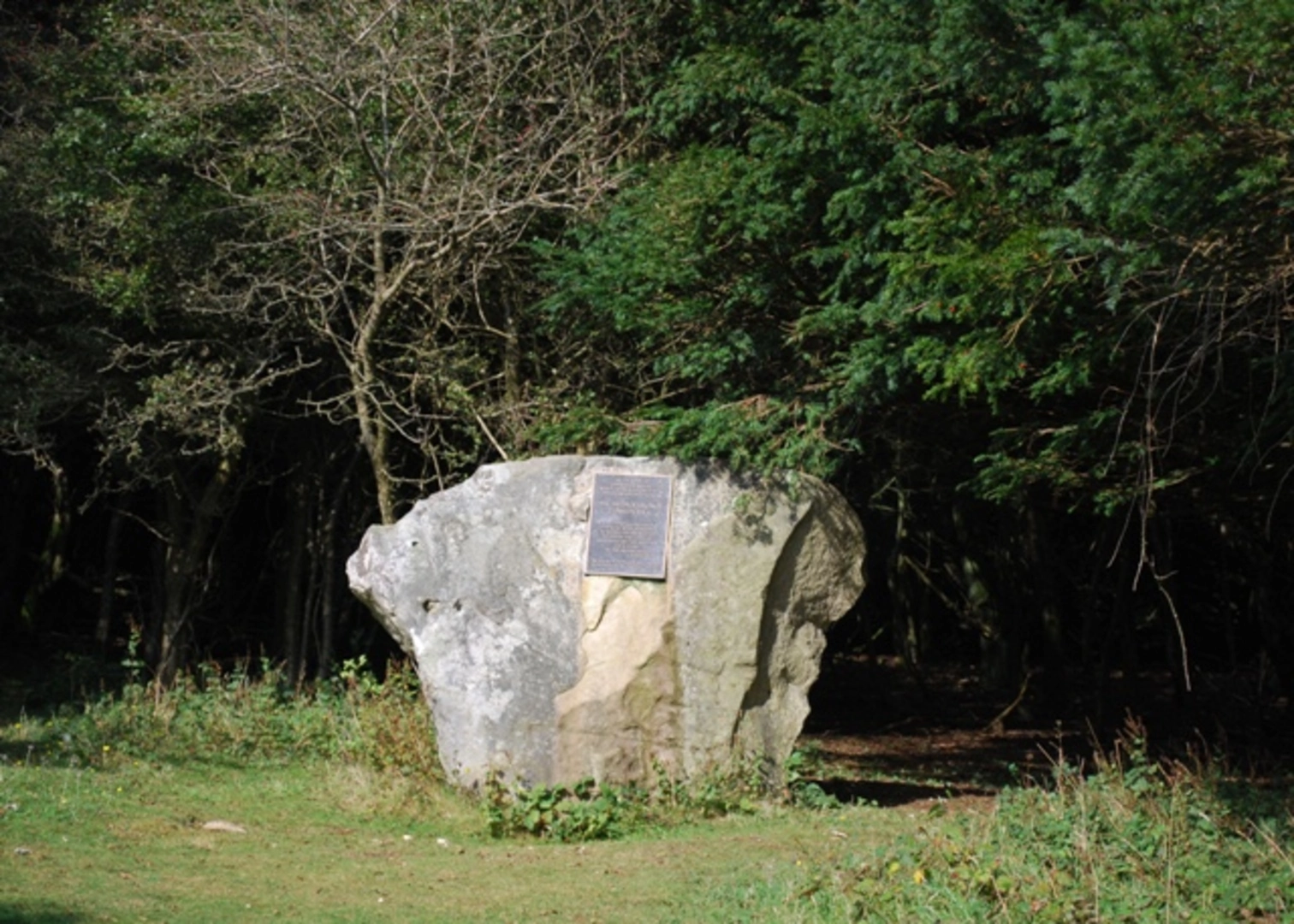 An image depicting the trail Kingley Vale and its surrounding area.