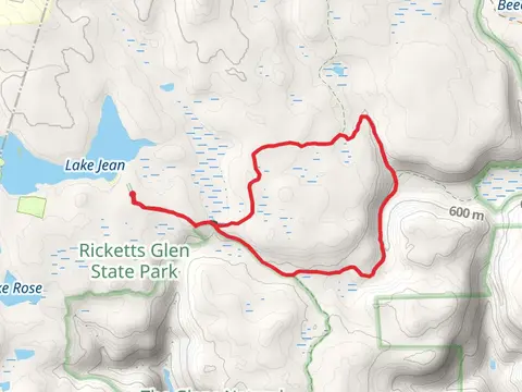 South Branch Bowman Creek Loop Trail