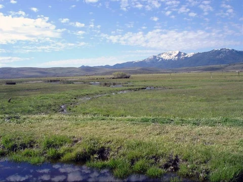 An image depicting the trail Cinko Lake via Pacific Crest Trail and its surrounding area.