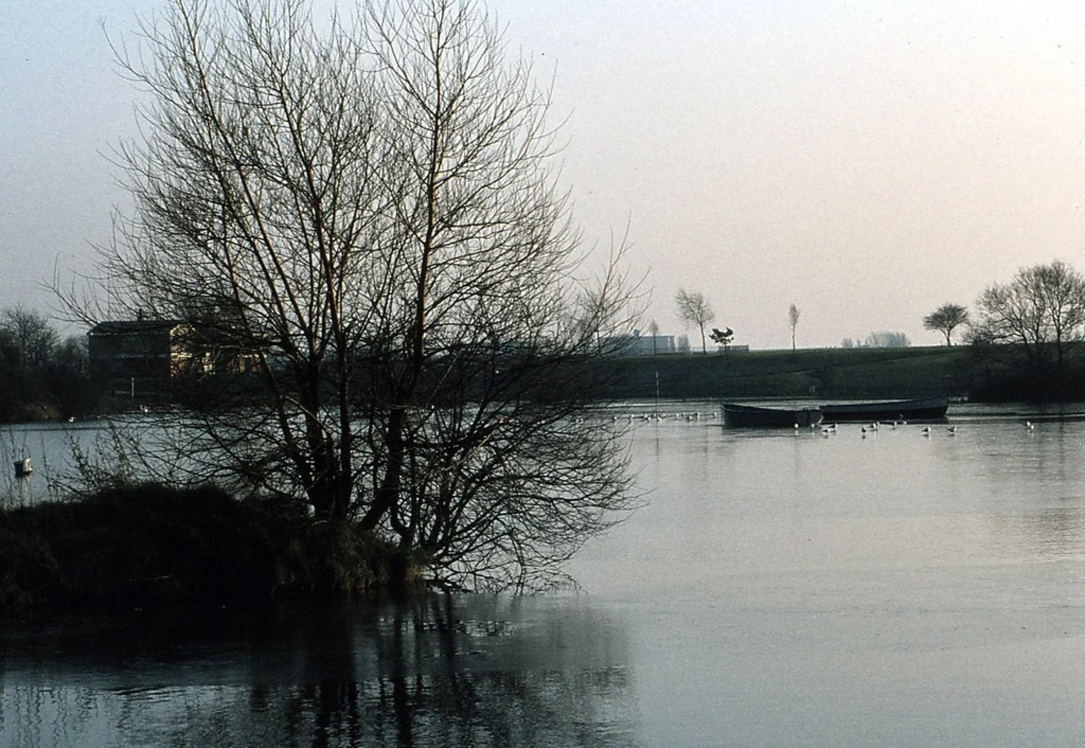 An image depicting the trail Kingfisher LNR and Colehall Walk and its surrounding area.