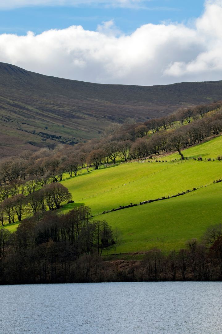 An image depicting the trail Henry Vaughan Walk and its surrounding area.