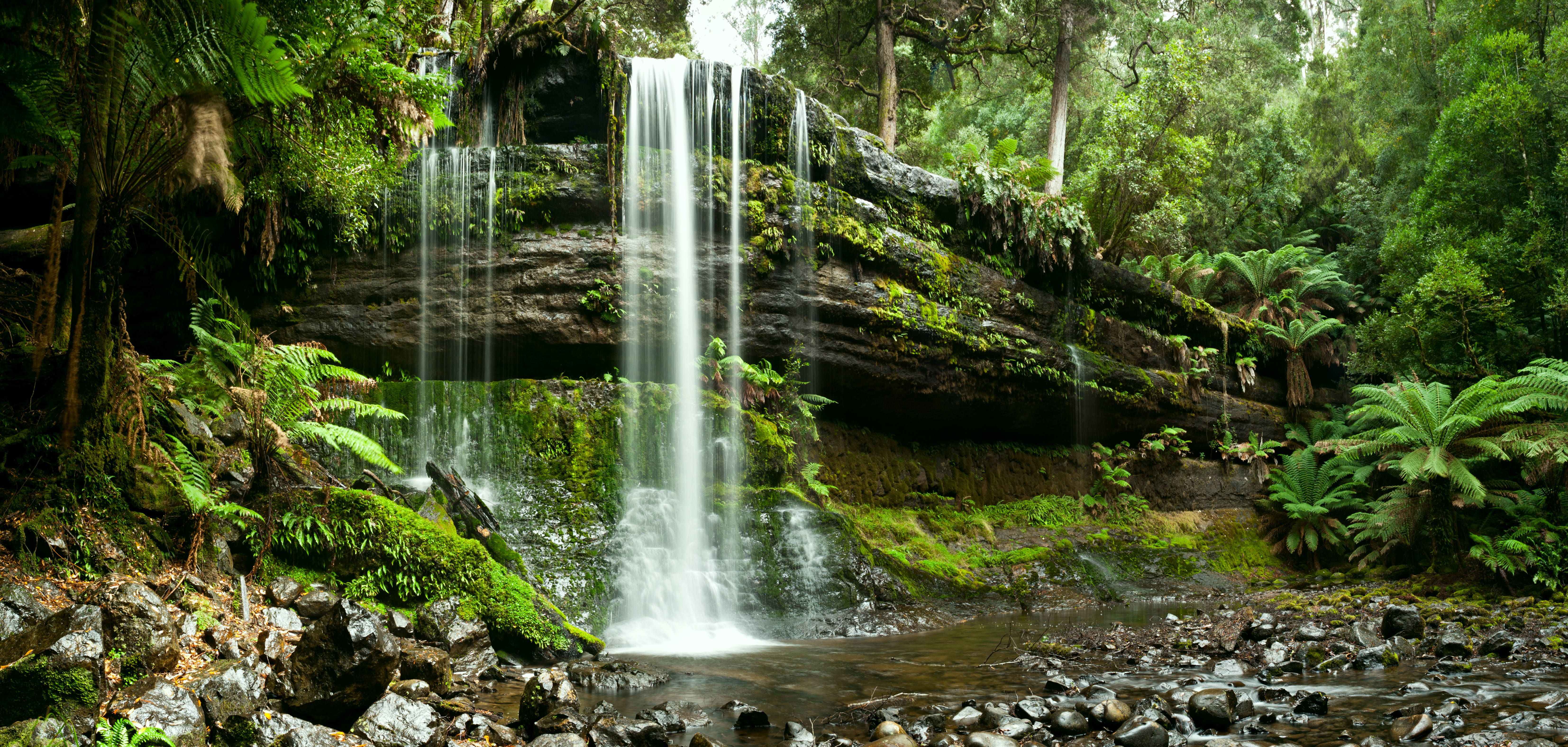 An image depicting the trail Mount Field National Park and its surrounding area.