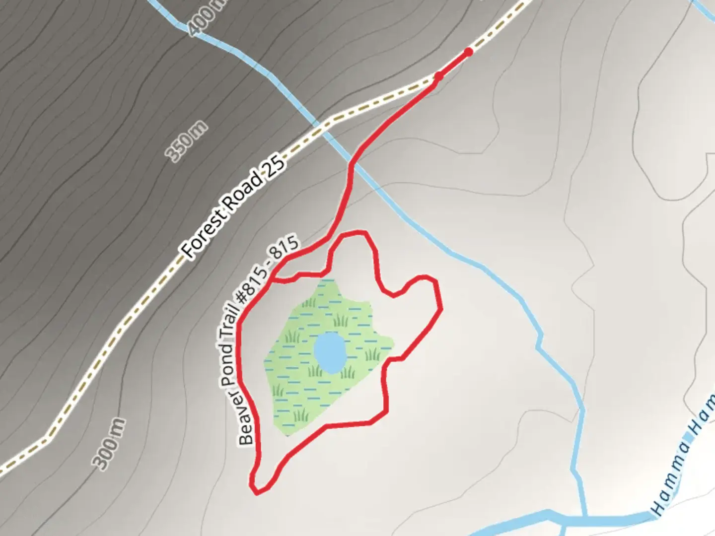 An image depicting the trail Hamma Hamma Beaver Pond Trail and its surrounding area.