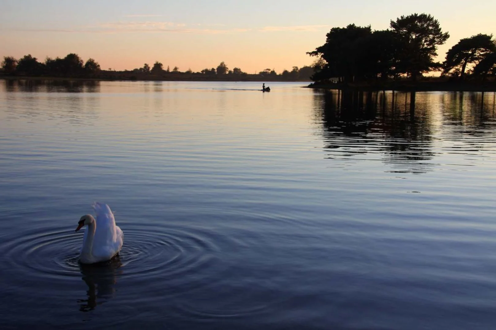 An image depicting the trail Hatchet Pond and its surrounding area.