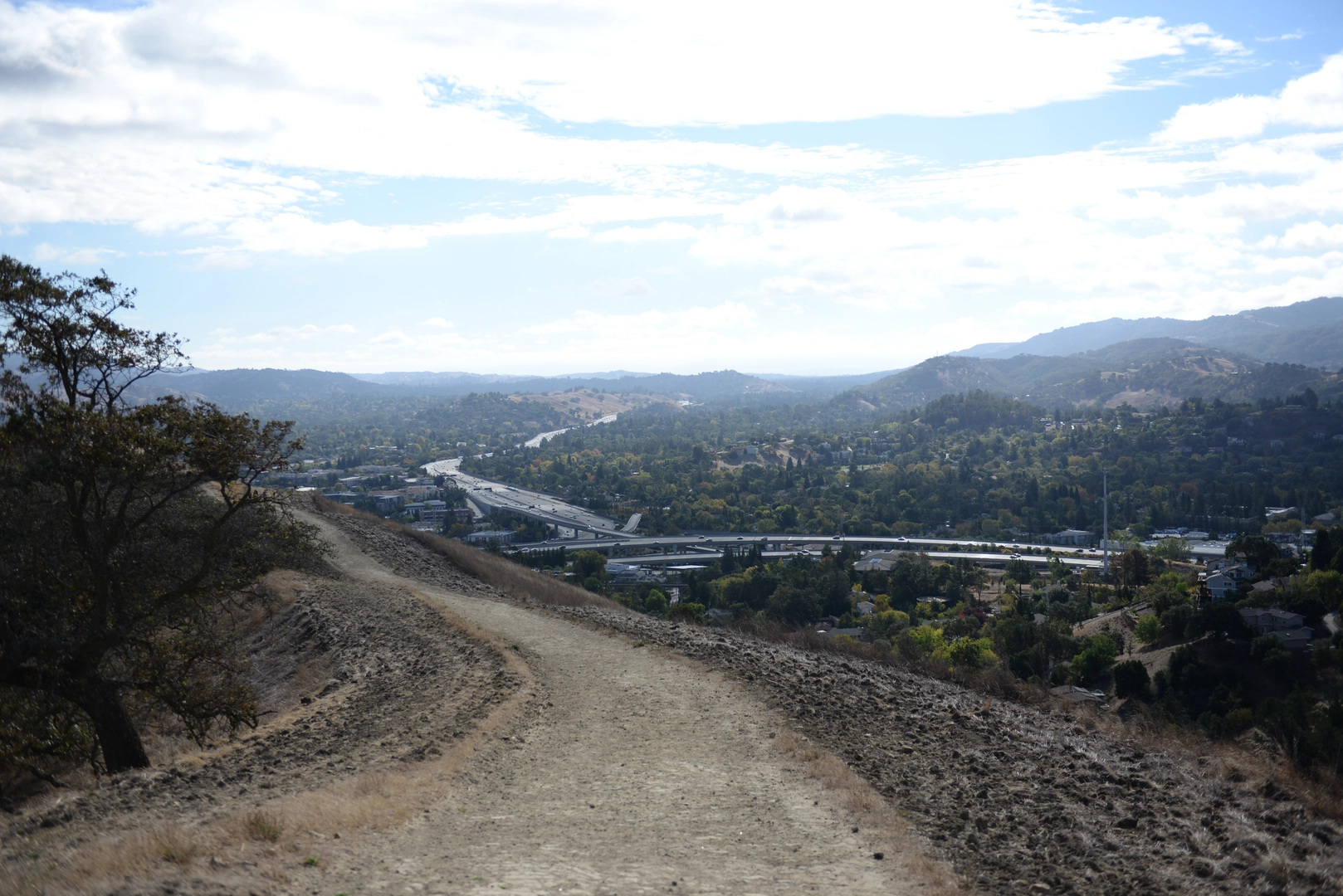 An image depicting the trail Sousa, Ridge Top and Camino Verde Loop Trail and its surrounding area.