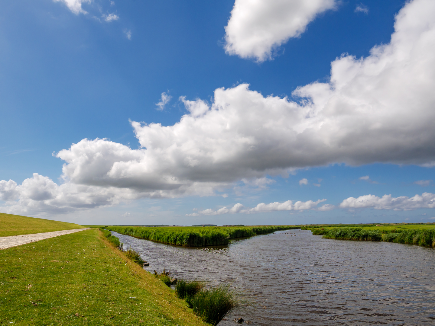 An image depicting the trail Kaldenbroek and Sint Jan Sleutelbergbos Loop and its surrounding area.