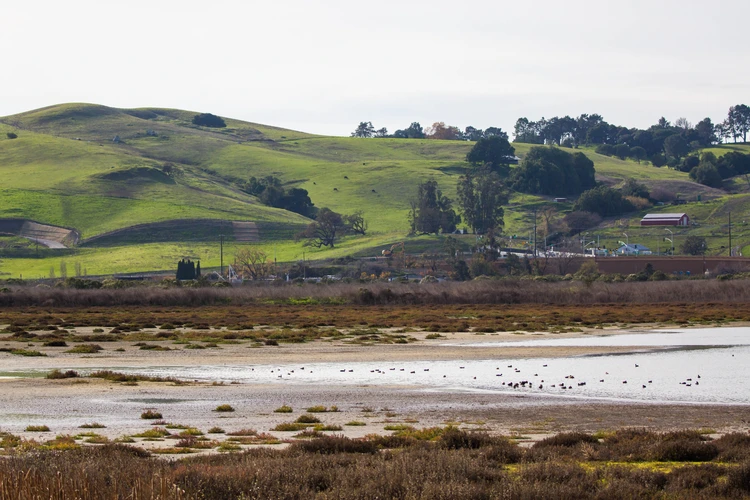 Shollenberger Park Loop