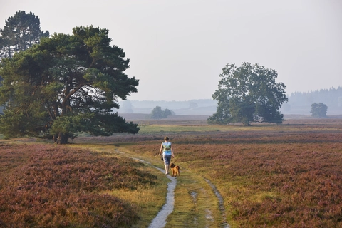 Tonnenberg, Kamperklippen and Kasteel Vosbergen Loop