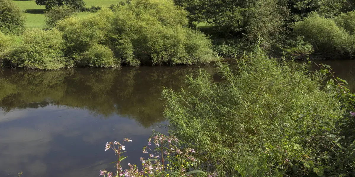 Highley from the Severn Valley Country Park