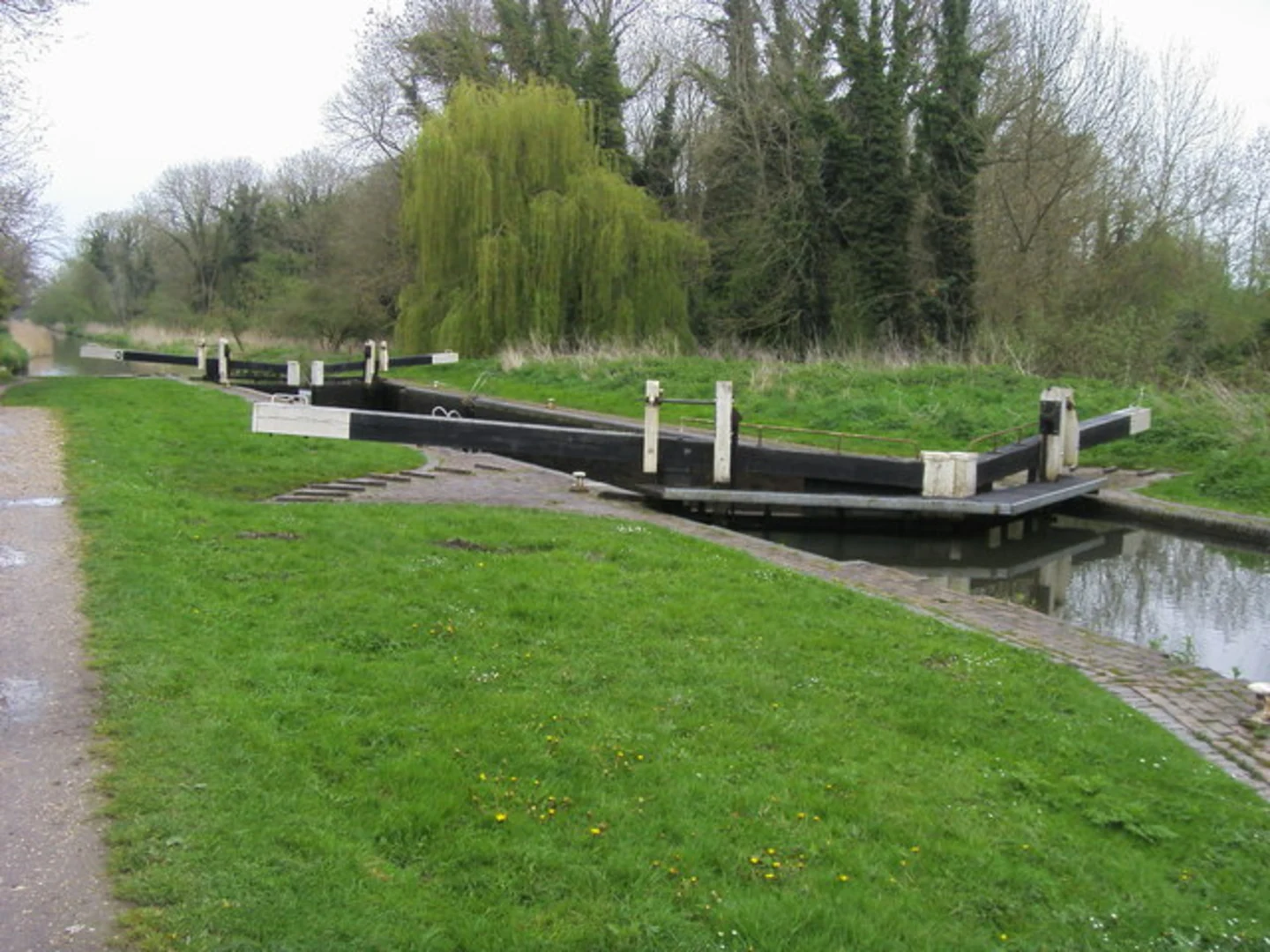 An image depicting the trail Bowdown Woods Loop and its surrounding area.