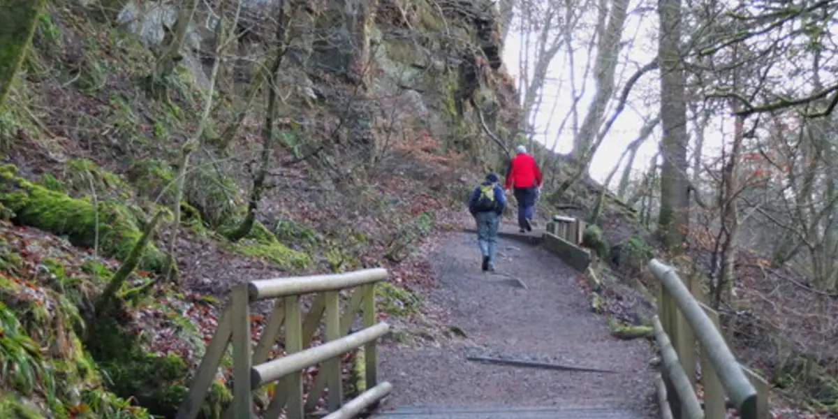Calderglen - East Kilbride