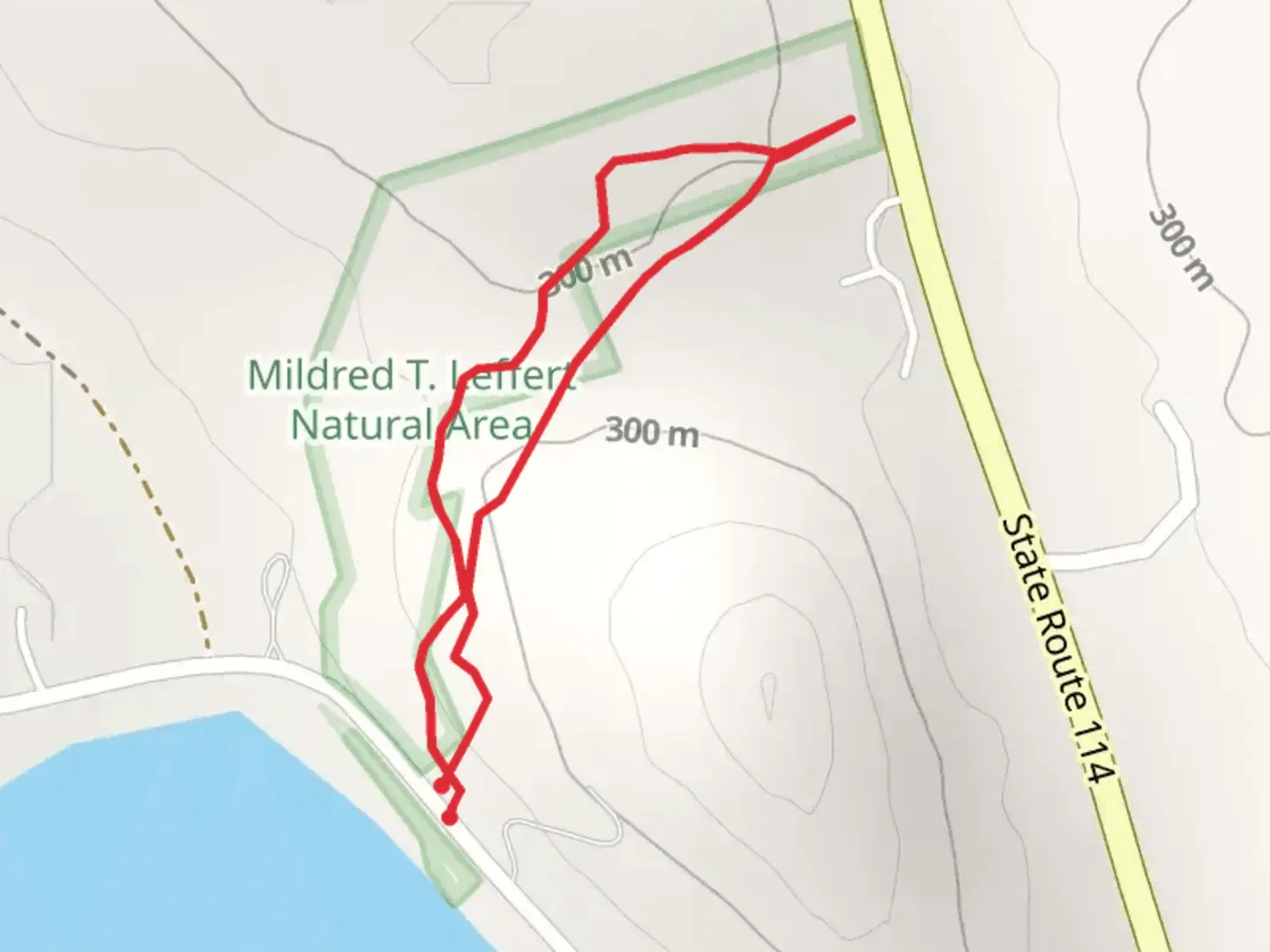 An image depicting the trail Kezar Lake and its surrounding area.