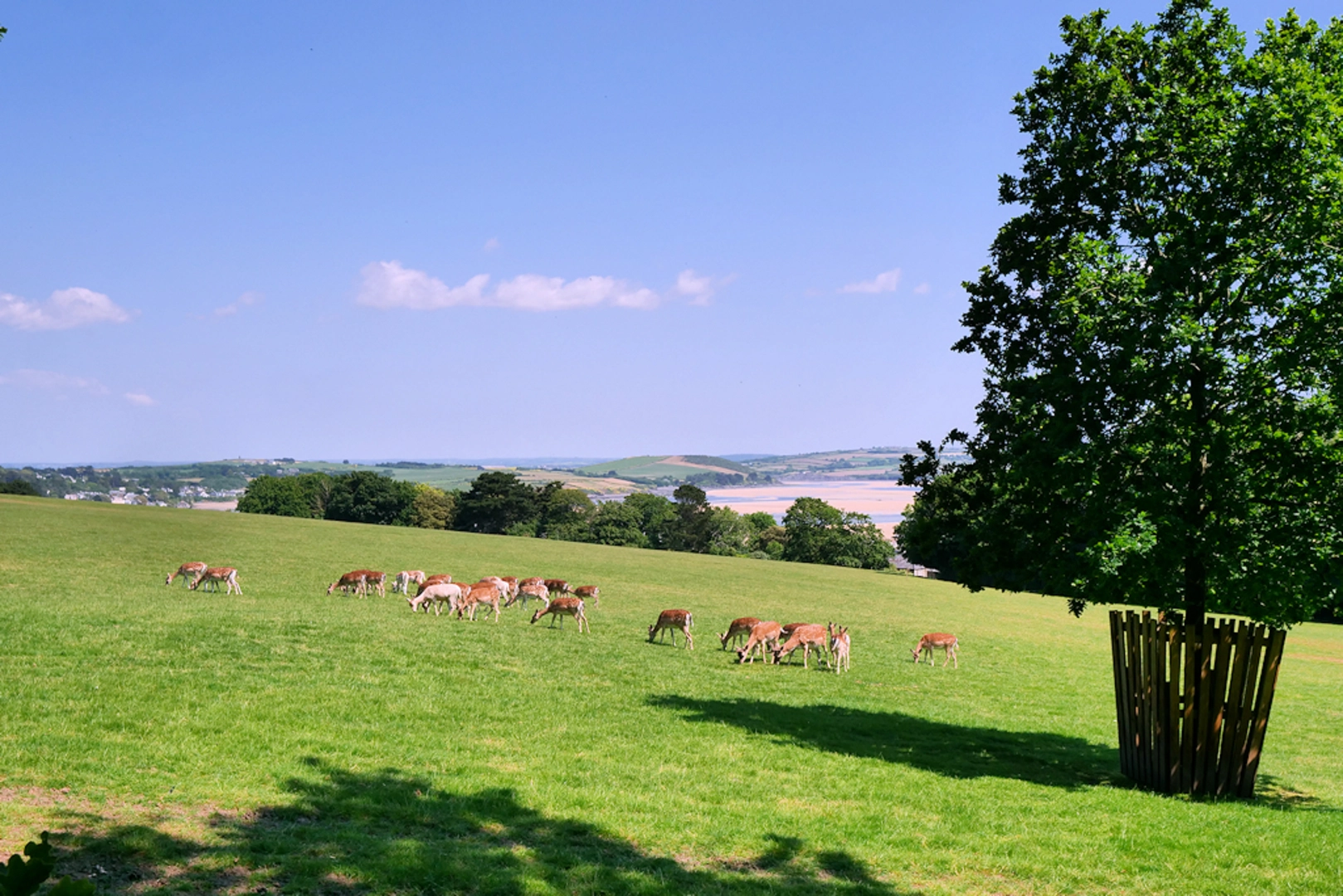 An image depicting the trail Prideaux Place Loop and its surrounding area.