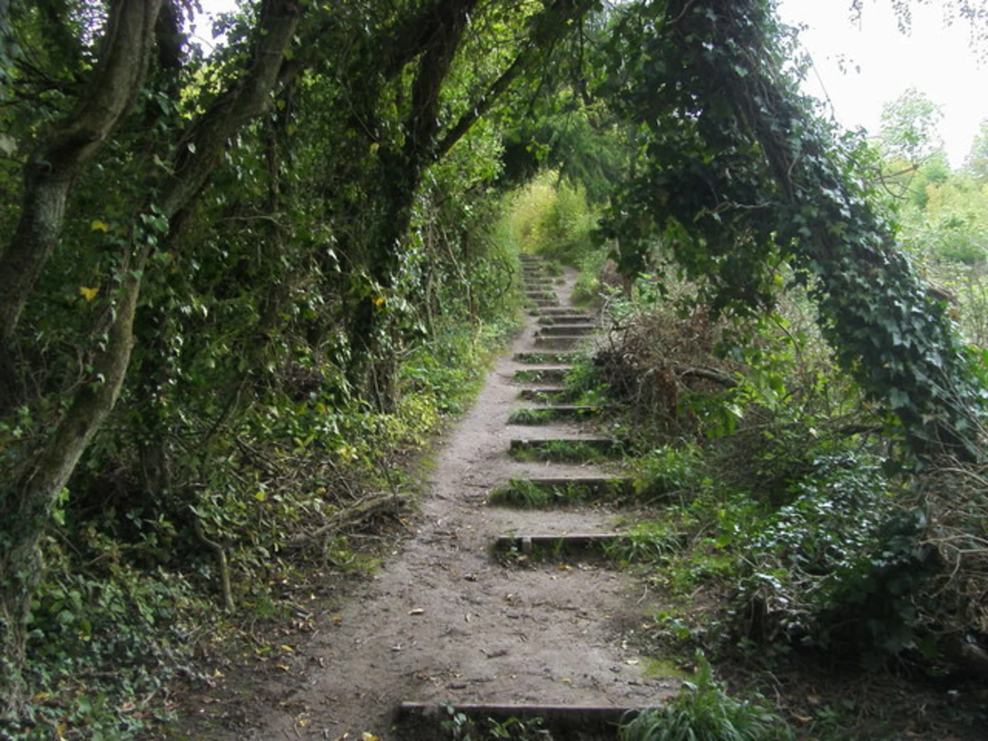An image depicting the trail West Meon and Warnford Loop and its surrounding area.