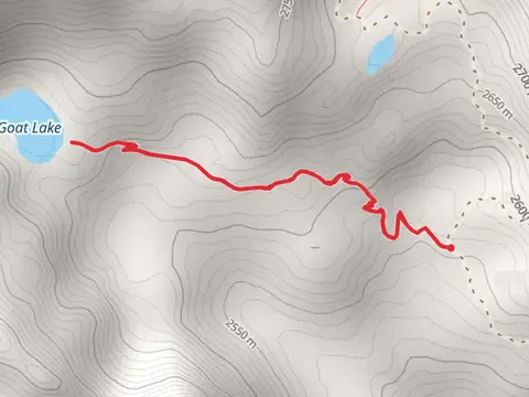 Goat Lake Trail