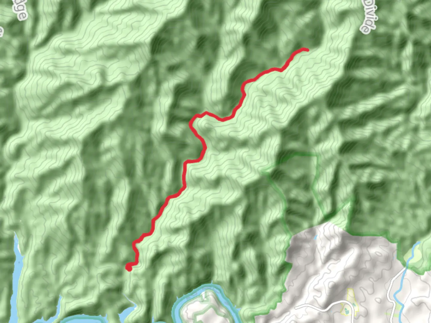 An image depicting the trail Lower Nolan Creek via BMT and its surrounding area.