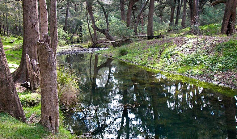 An image depicting the trail Turon National Park and its surrounding area.