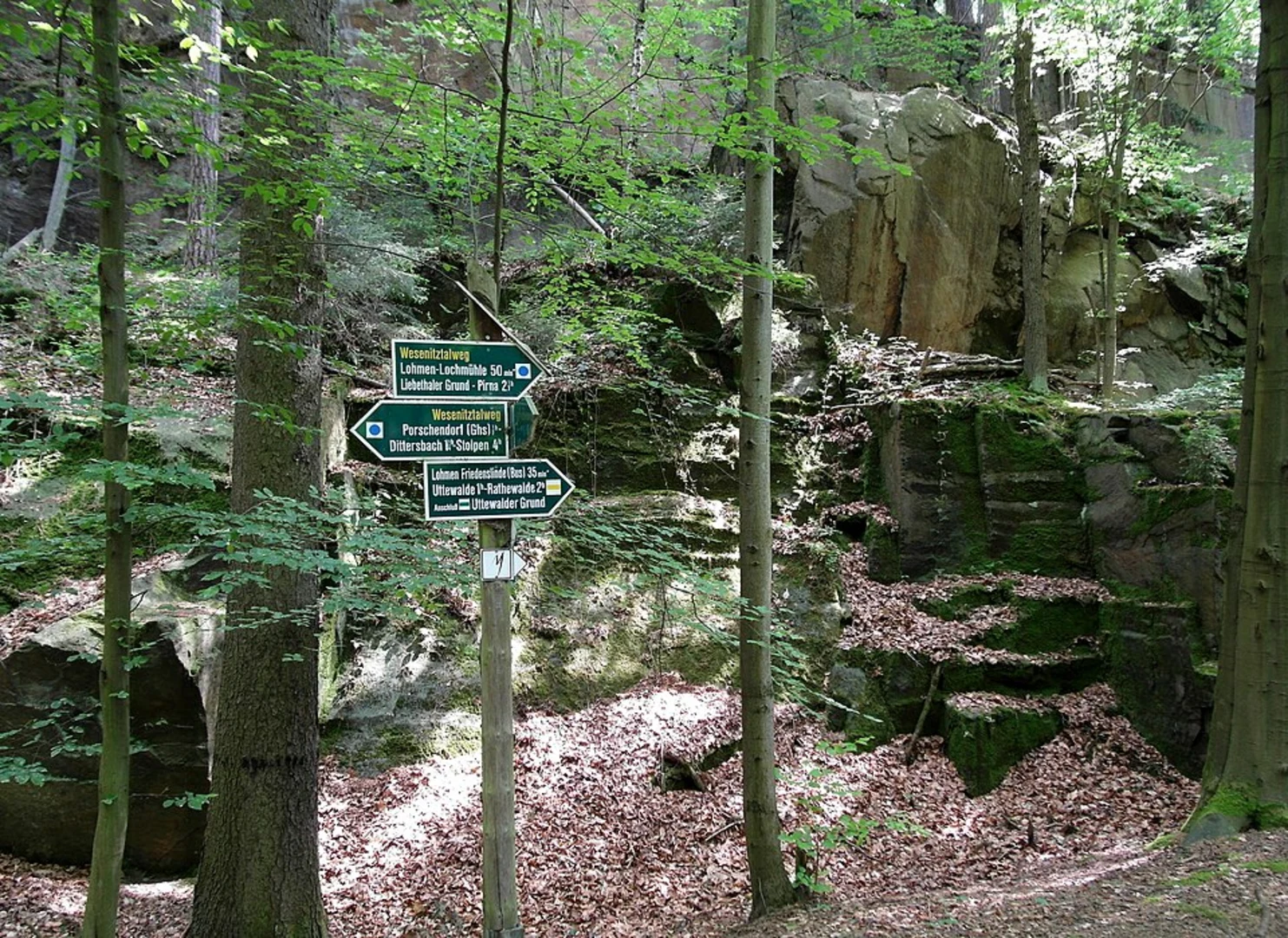 An image depicting the trail Kiener Sandberg and Steinerner Bar via Basteirundweg and its surrounding area.