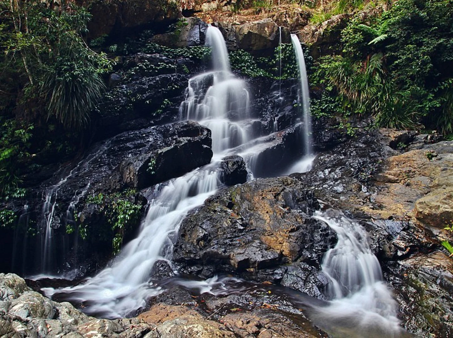 An image depicting the trail Bangalore Falls Track and its surrounding area.