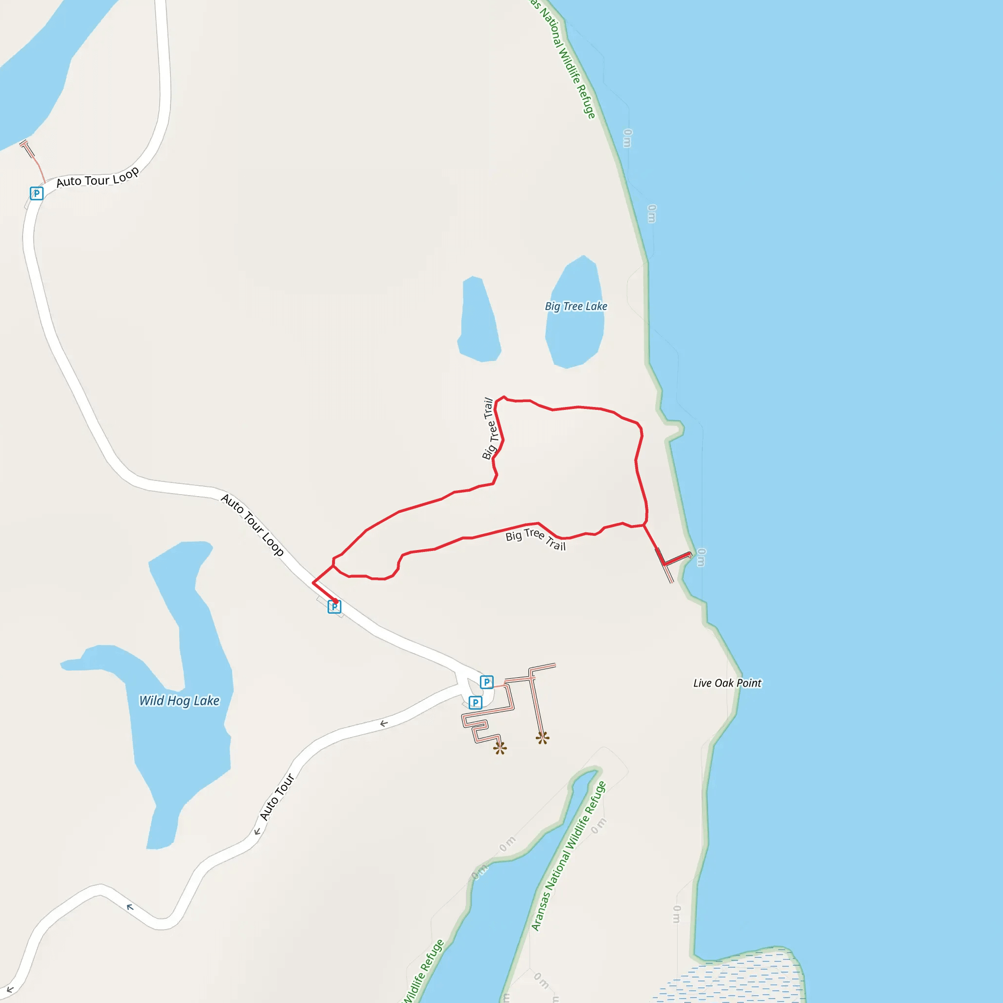 Big Tree Loop Trail from Auto Tour Loop mobile static map