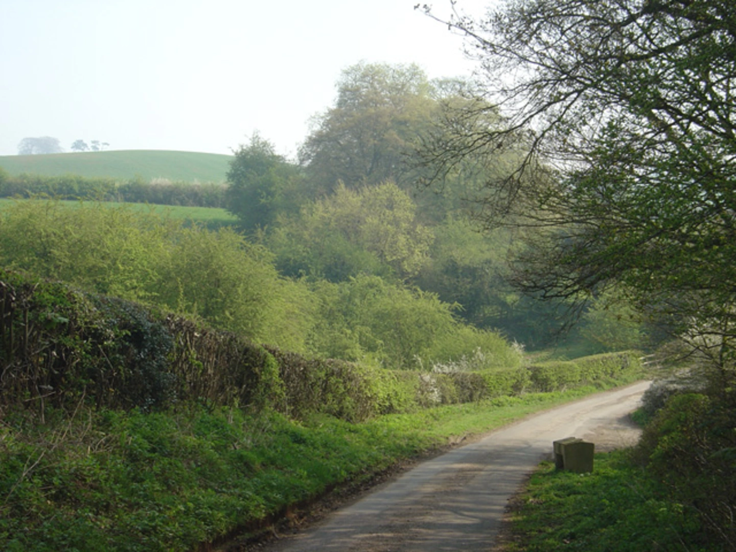 An image depicting the trail Draycott in the Clay from Hanbury and its surrounding area.