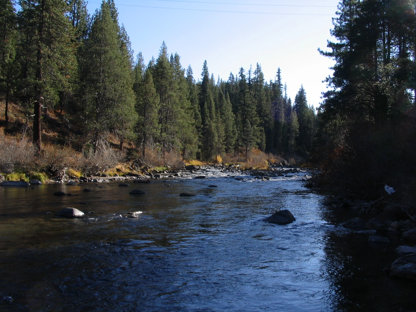 An image depicting the trail Loop beside Upper Truckee River and its surrounding area.