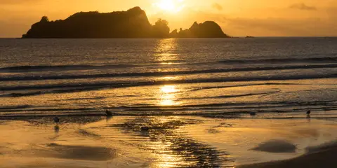 An image depicting the trail Opito Pa Walk and its surrounding area.