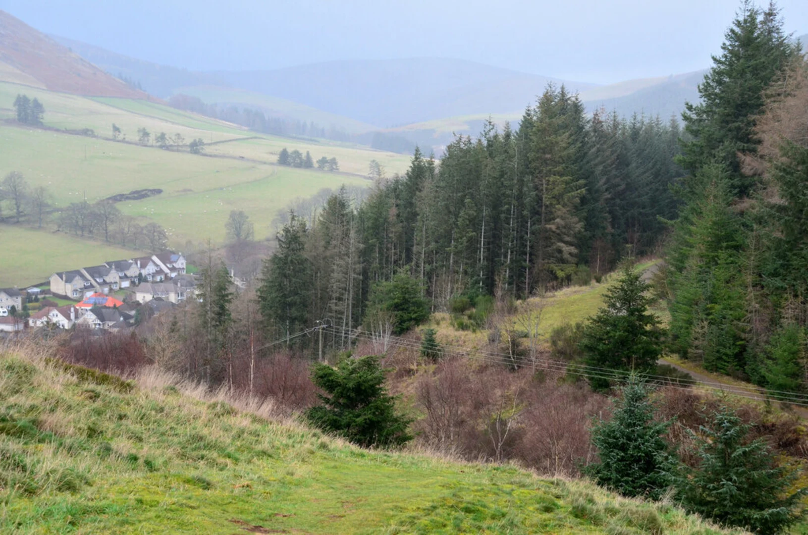 An image depicting the trail Pirn Hill Trail and its surrounding area.