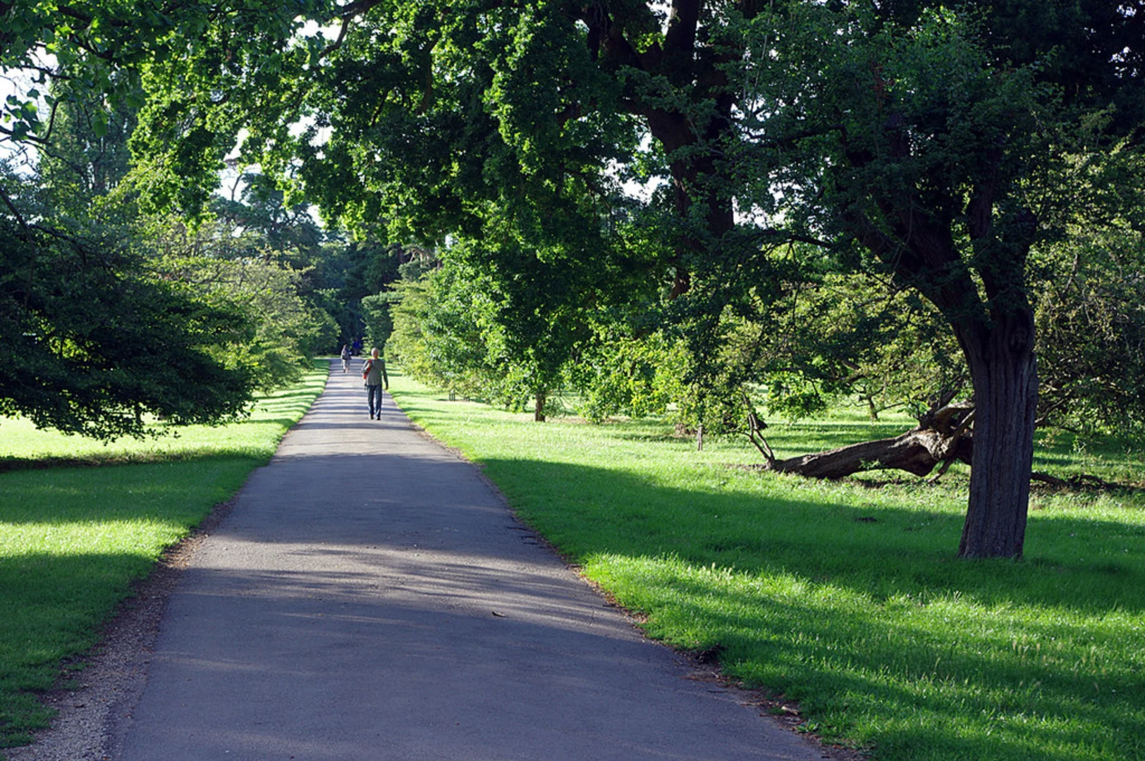 An image depicting the trail University Parks and Old Marston Country Park Loop and its surrounding area.