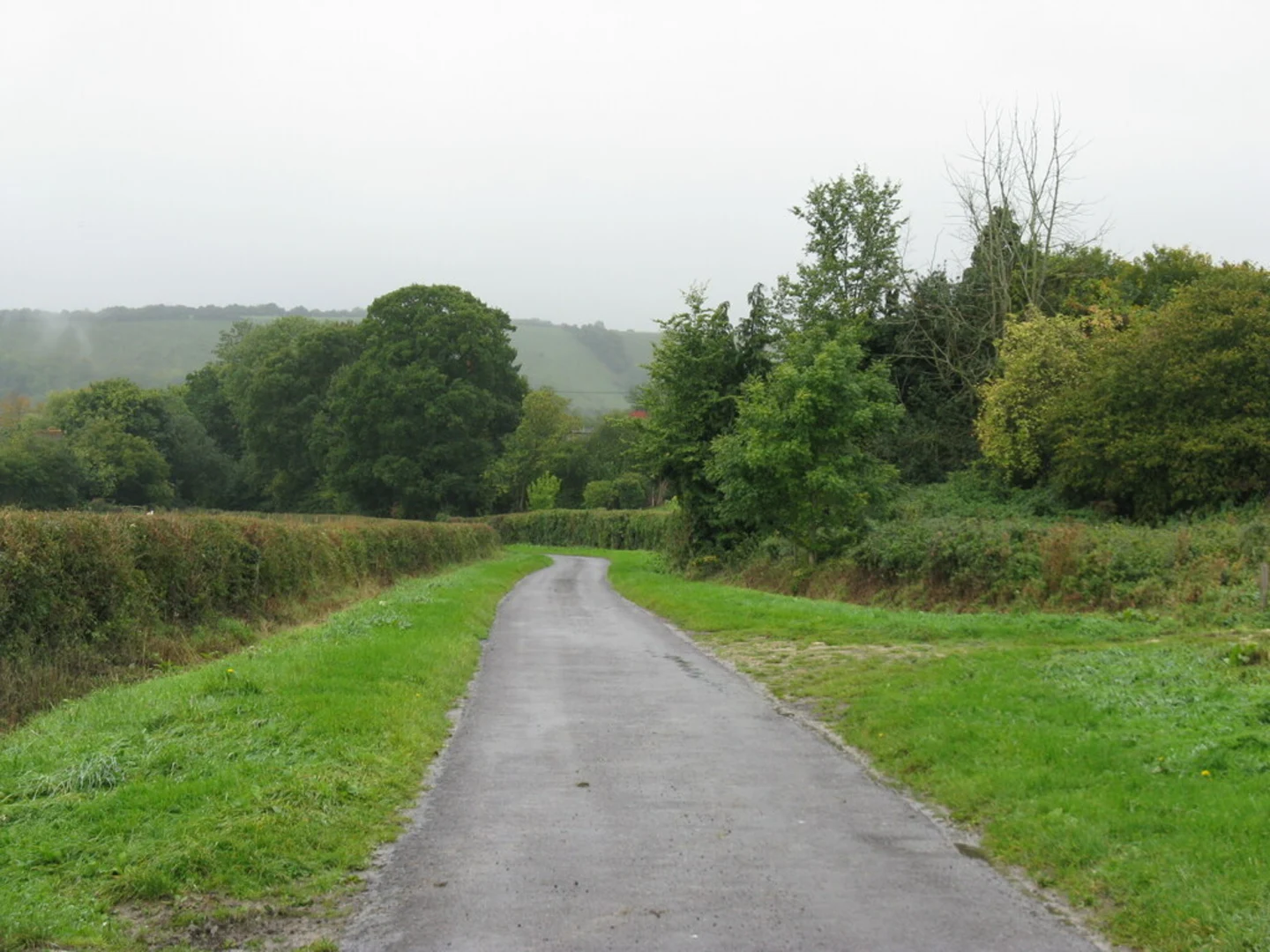 An image depicting the trail Hooksway and Elsted Loop and its surrounding area.