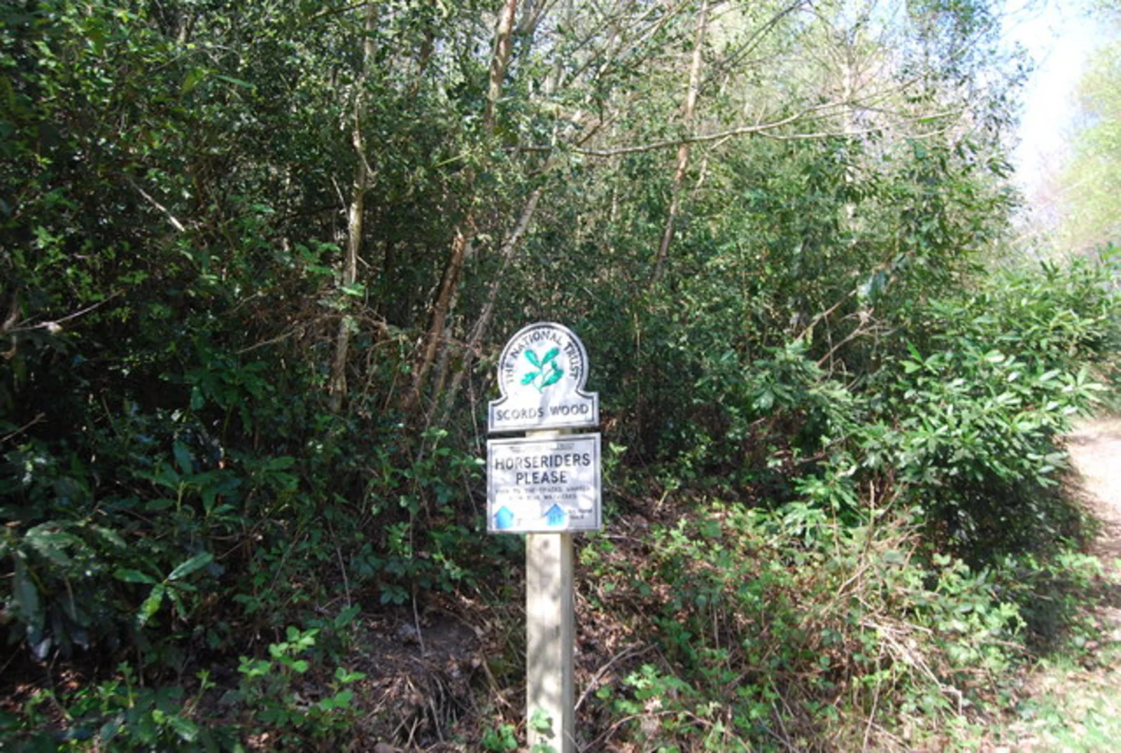 An image depicting the trail Toys Hill Circular via Weardale Manor and its surrounding area.