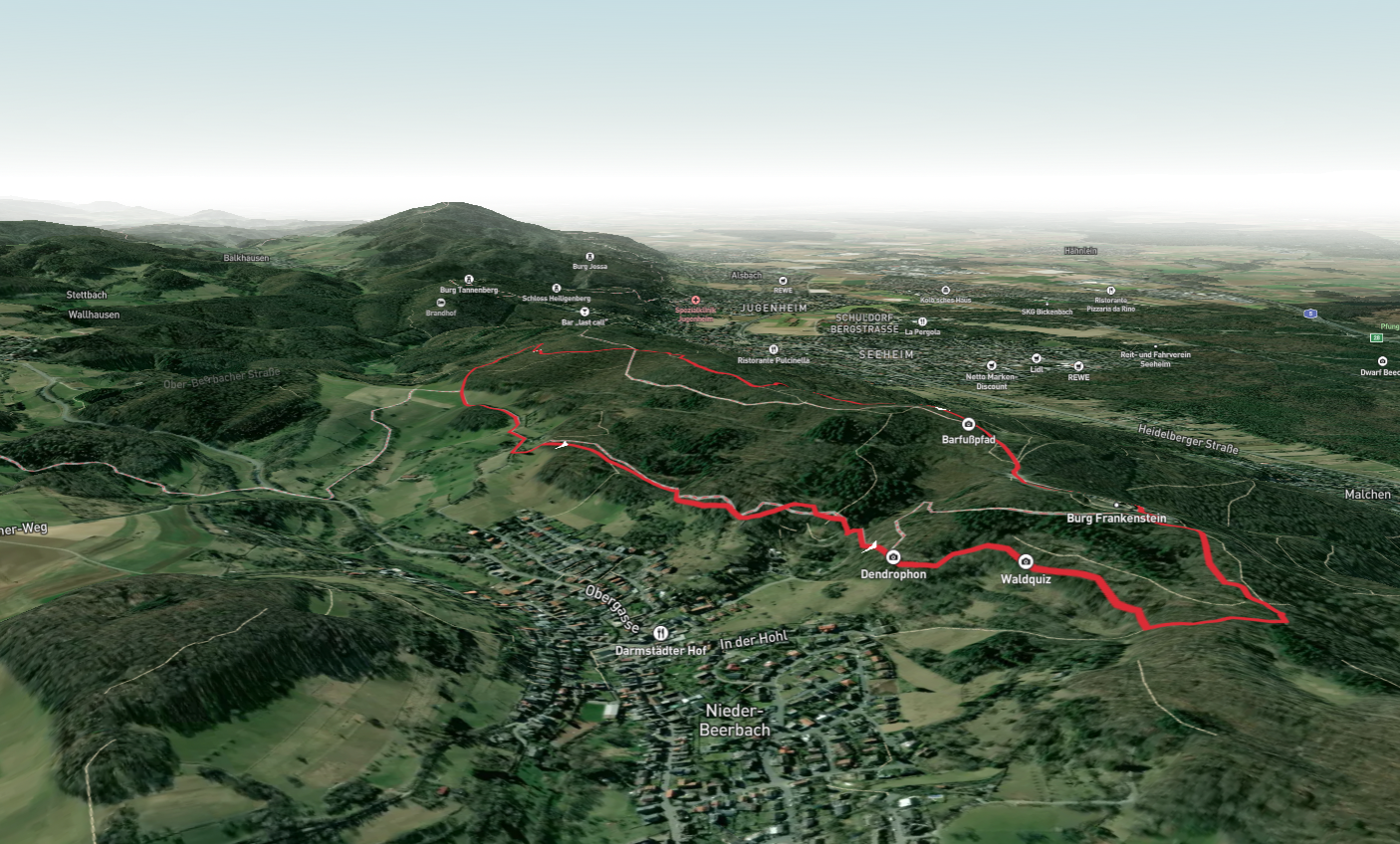 Langenberg, Dendrophon and Waldquiz via Alemannenweg