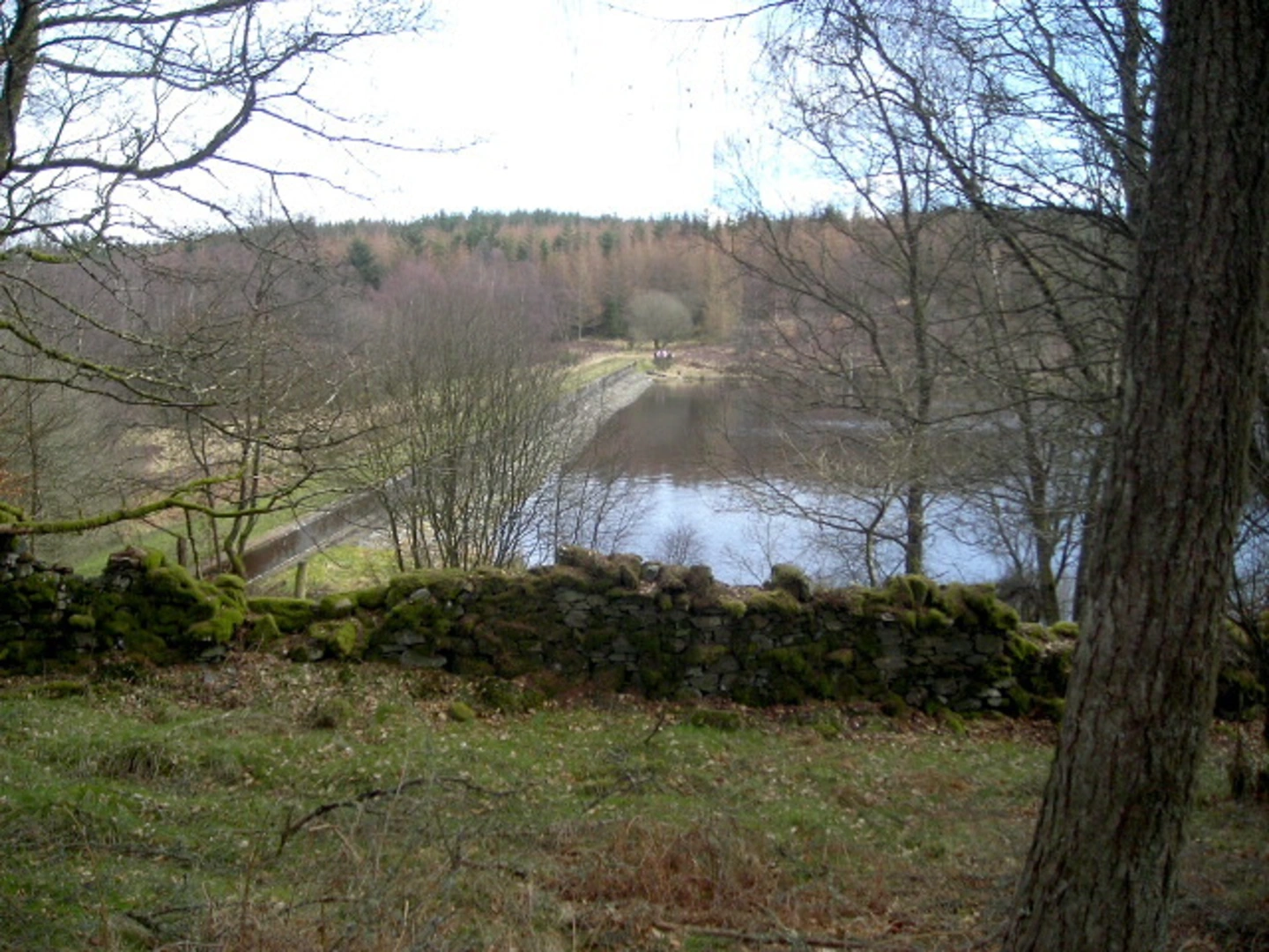 An image depicting the trail Loch Drunkie Shore Loop Trail and its surrounding area.