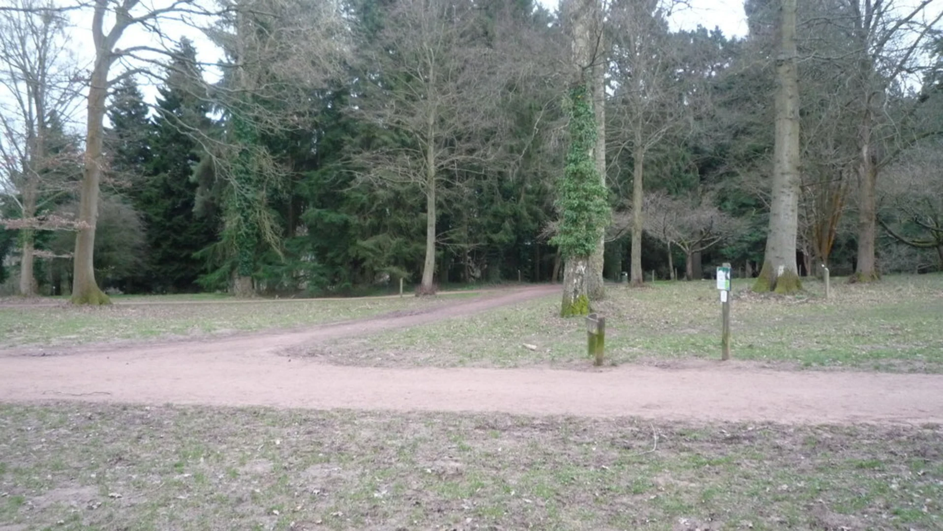 An image depicting the trail Queenswood Country Park Loop and its surrounding area.